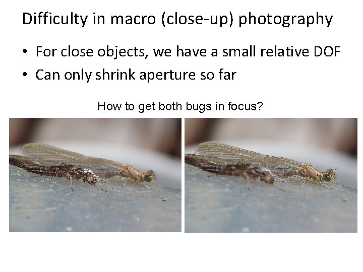 Difficulty in macro (close-up) photography • For close objects, we have a small relative