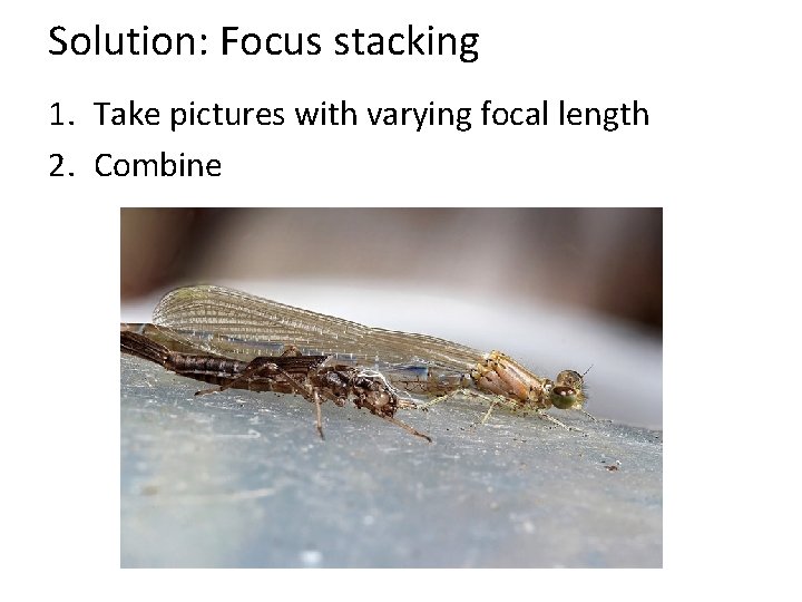 Solution: Focus stacking 1. Take pictures with varying focal length 2. Combine 