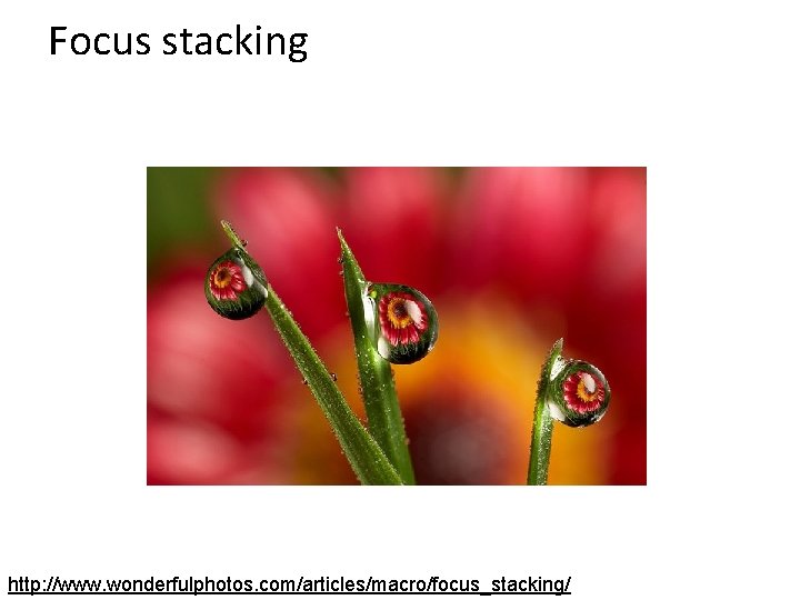 Focus stacking http: //www. wonderfulphotos. com/articles/macro/focus_stacking/ 