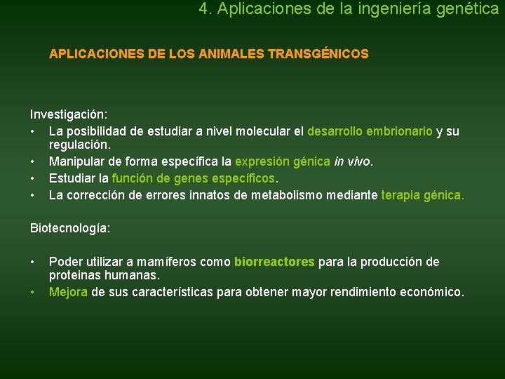4. Aplicaciones de la ingeniería genética APLICACIONES DE LOS ANIMALES TRANSGÉNICOS Investigación: • La 4. Aplicaciones de la ingeniería genética APLICACIONES DE LOS ANIMALES TRANSGÉNICOS Investigación: • La