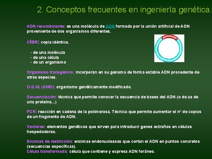 2. Conceptos frecuentes en ingeniería genética. ADN recombinante: es una molécula de ADN formada 2. Conceptos frecuentes en ingeniería genética. ADN recombinante: es una molécula de ADN formada