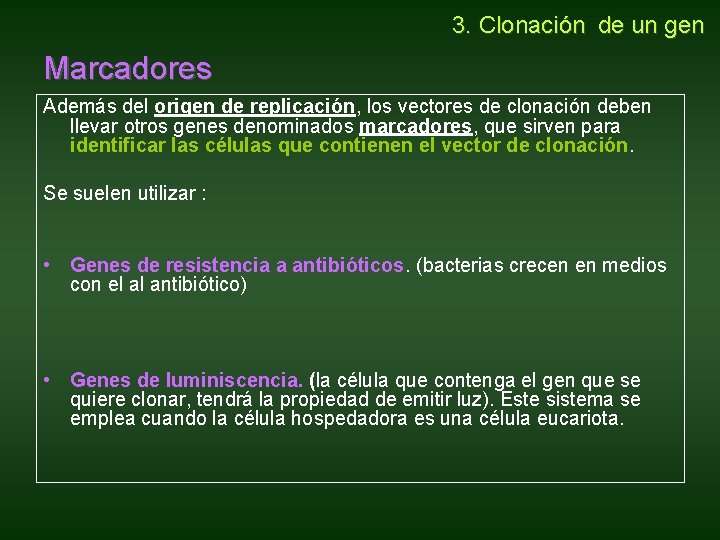 3. Clonación de un gen Marcadores Además del origen de replicación, los vectores 3. Clonación de un gen Marcadores Además del origen de replicación, los vectores