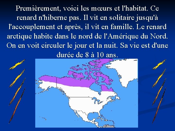 Premièrement, voici les mœurs et l'habitat. Ce renard n'hiberne pas. Il vit en solitaire