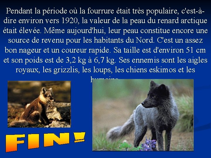 Pendant la période où la fourrure était très populaire, c'est-àdire environ vers 1920, la