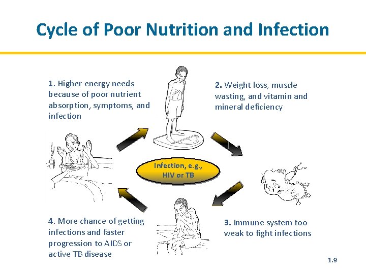 Cycle of Poor Nutrition and Infection 1. Higher energy needs because of poor nutrient