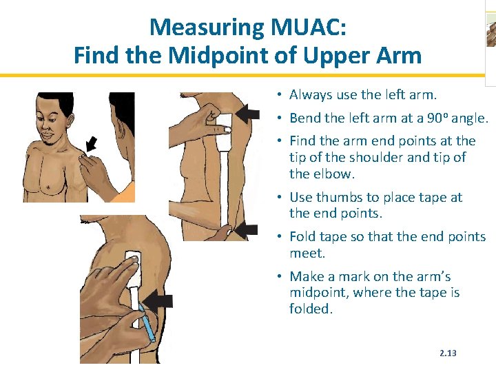 Measuring MUAC: Find the Midpoint of Upper Arm • Always use the left arm.