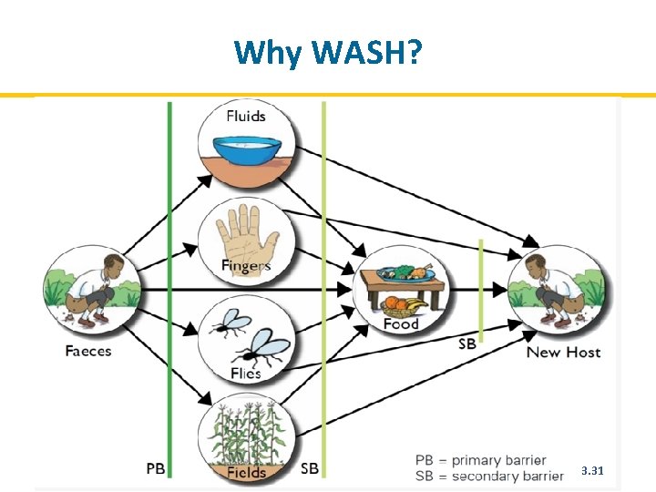 Why WASH? 73 3. 31 