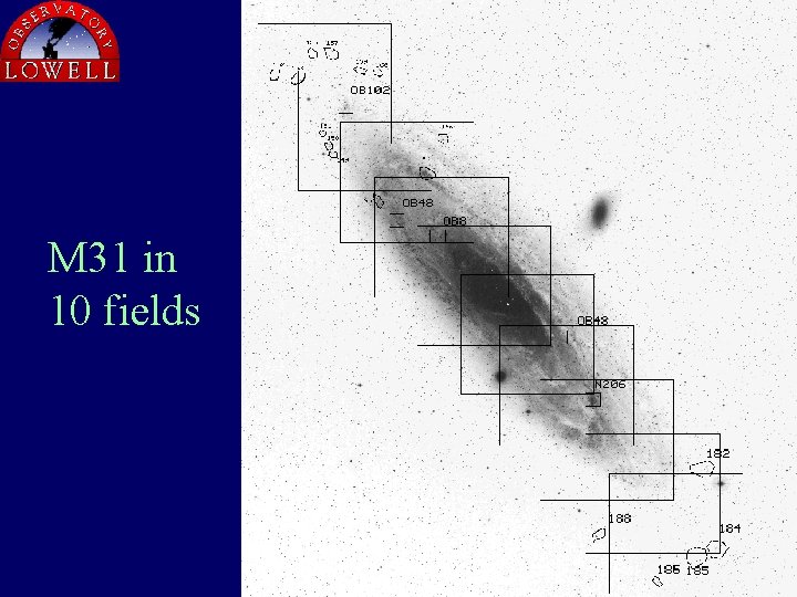 M 31 in 10 fields 