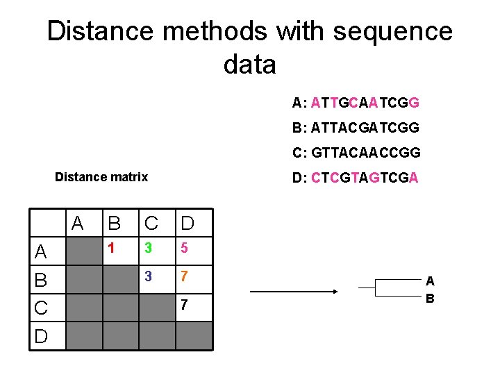 Distance methods with sequence data A: ATTGCAATCGG B: ATTACGATCGG C: GTTACAACCGG Distance matrix A