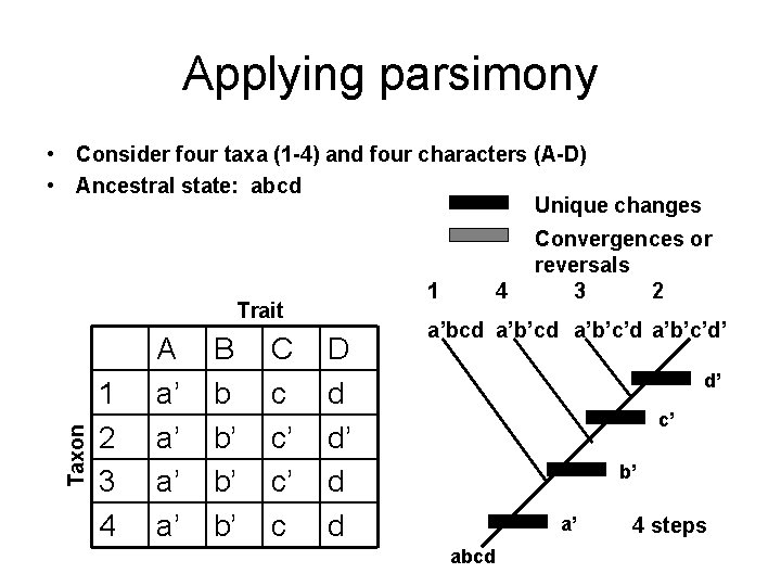Applying parsimony • Consider four taxa (1 -4) and four characters (A-D) • Ancestral