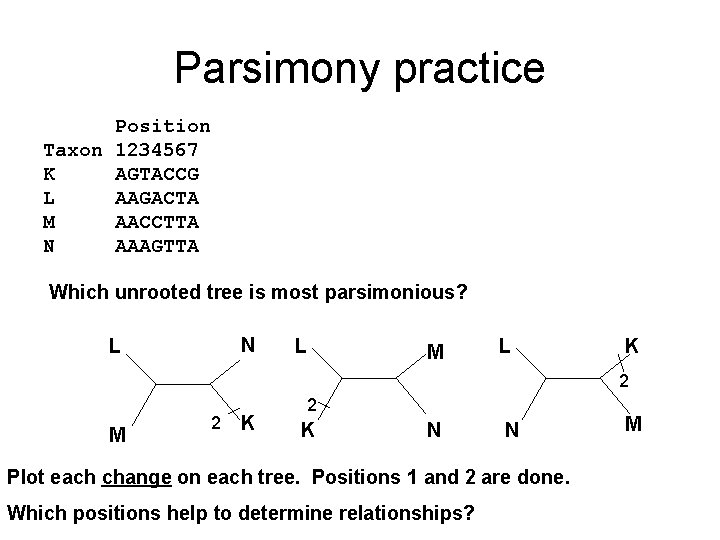 Parsimony practice Position Taxon 1234567 K AGTACCG L AAGACTA M AACCTTA N AAAGTTA Which