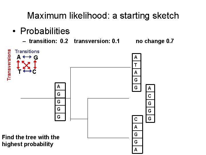 Maximum likelihood: a starting sketch • Probabilities Transversions – transition: 0. 2 transversion: 0.