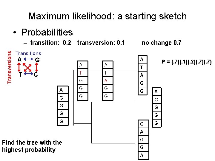 Maximum likelihood: a starting sketch • Probabilities Transversions – transition: 0. 2 transversion: 0.