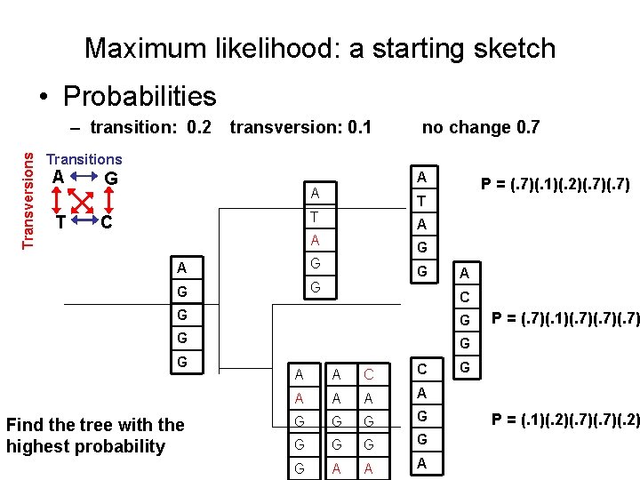 Maximum likelihood: a starting sketch • Probabilities Transversions – transition: 0. 2 transversion: 0.