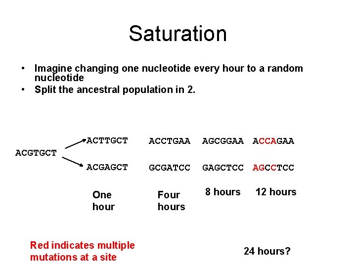 Saturation • Imagine changing one nucleotide every hour to a random nucleotide • Split