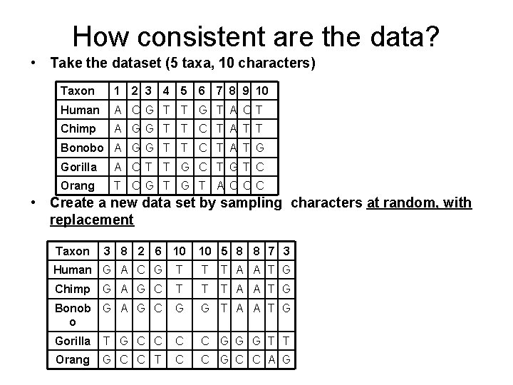 How consistent are the data? • Take the dataset (5 taxa, 10 characters) Taxon