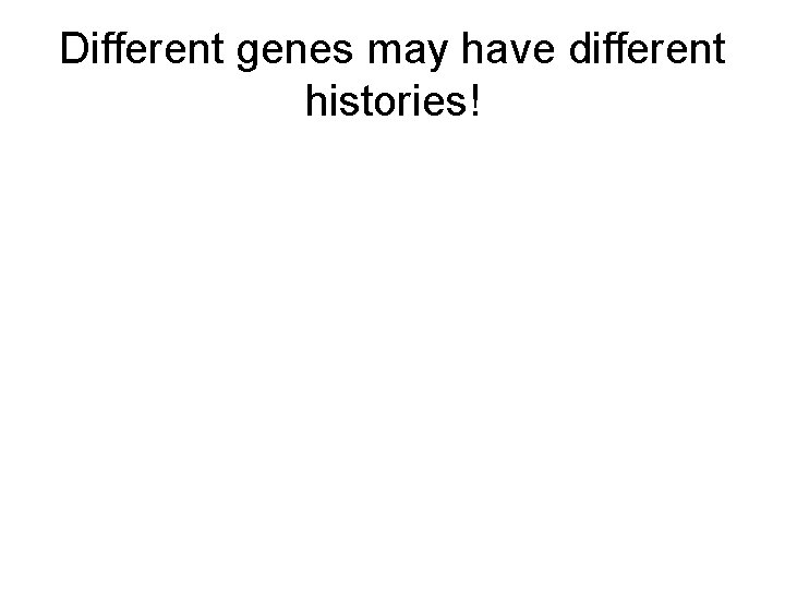 Different genes may have different histories! 