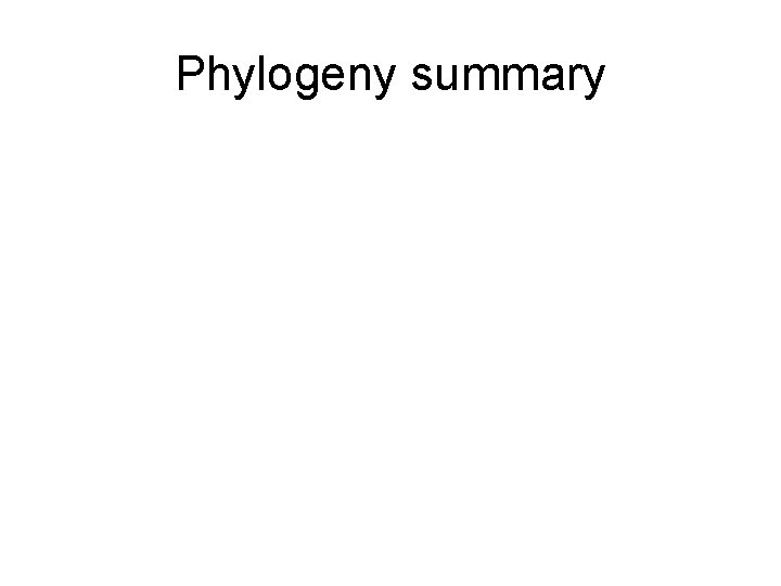 Phylogeny summary 