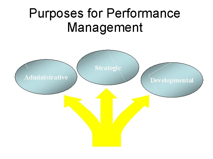 Purposes for Performance Management Strategic Administrative Developmental Purposes for Performance Management Strategic Administrative Developmental