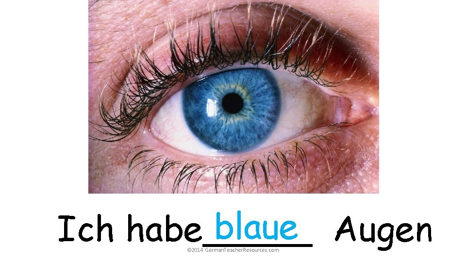 blaue Augen Ich habe_____ © 2014 German. Teacher. Resources. com blaue Augen Ich habe_____ © 2014 German. Teacher. Resources. com