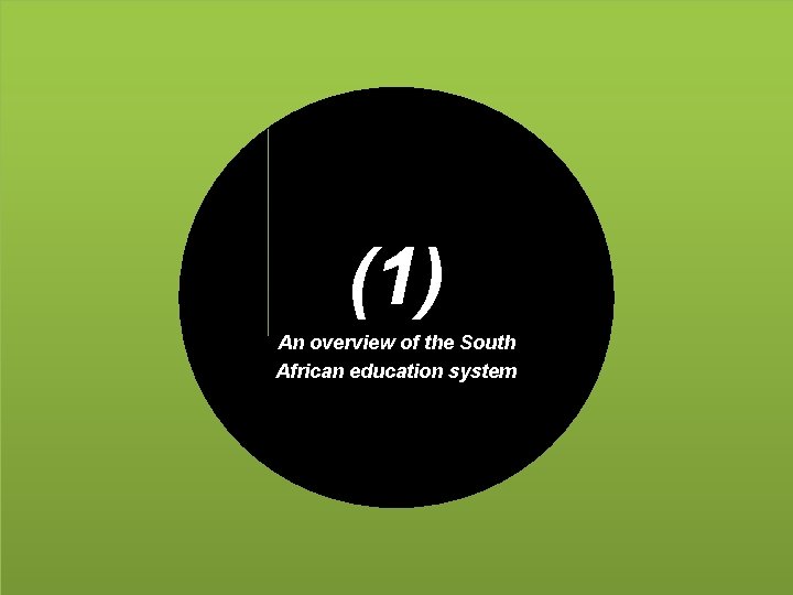 (1) An overview of the South African education system 