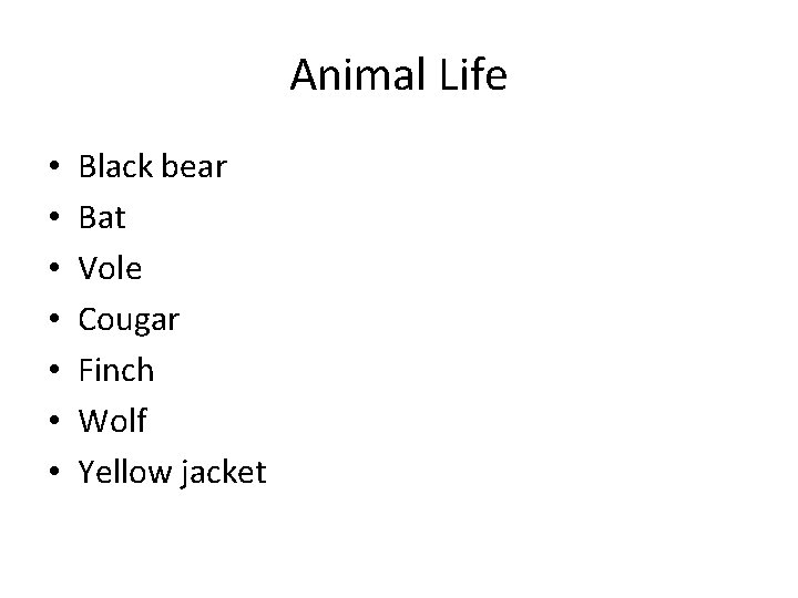 Animal Life • • Black bear Bat Vole Cougar Finch Wolf Yellow jacket 
