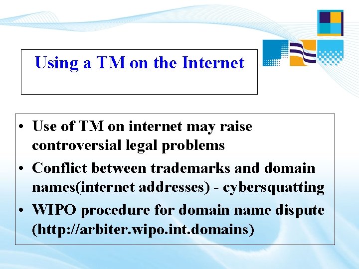 Using a TM on the Internet • Use of TM on internet may raise Using a TM on the Internet • Use of TM on internet may raise
