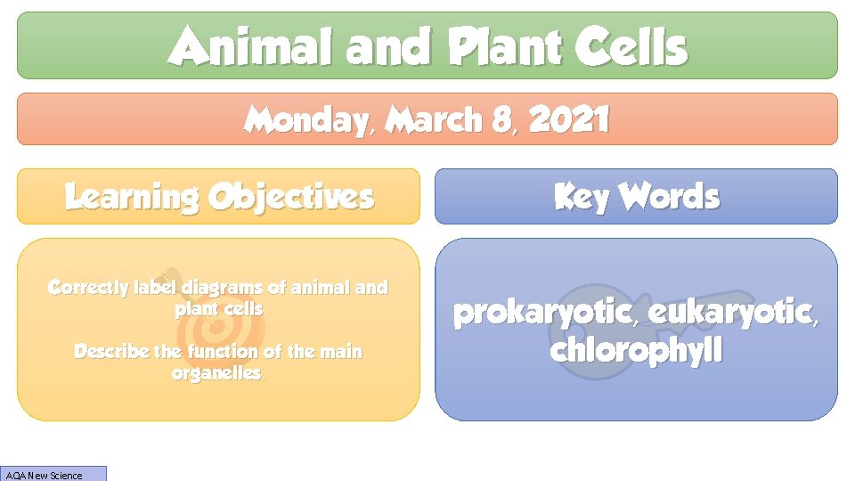 Animal and Plant Cells Monday, March 8, 2021 Learning Objectives Correctly label diagrams of