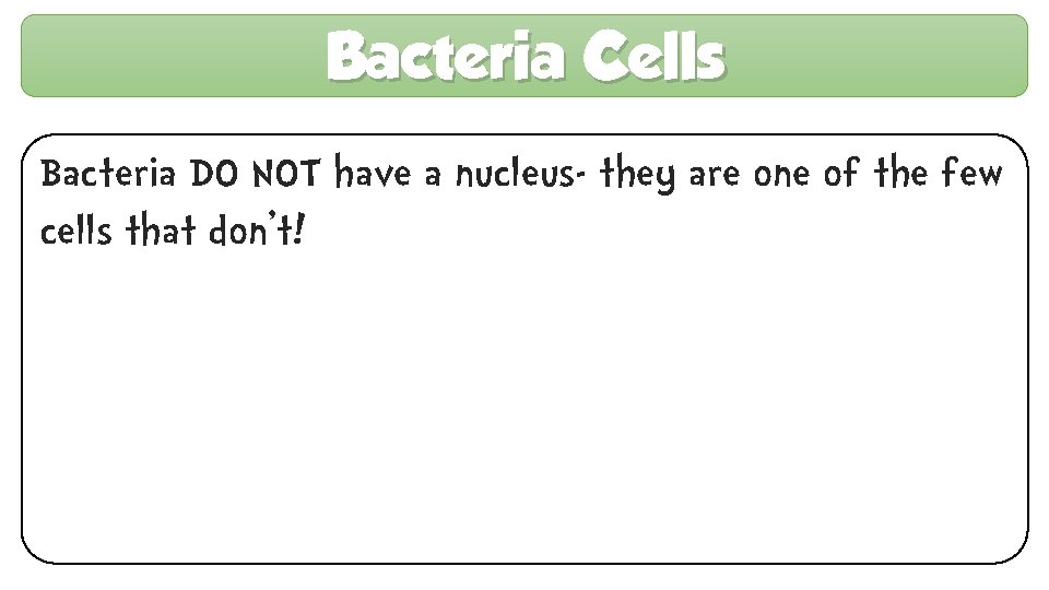 Bacteria Cells Bacteria DO NOT have a nucleus- they are one of the few