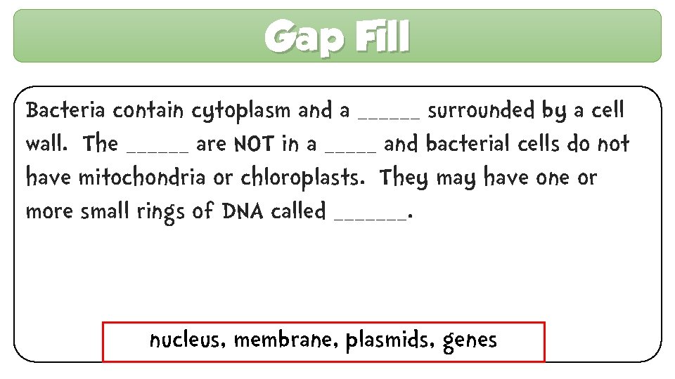 Gap Fill Bacteria contain cytoplasm and a ______ surrounded by a cell wall. The