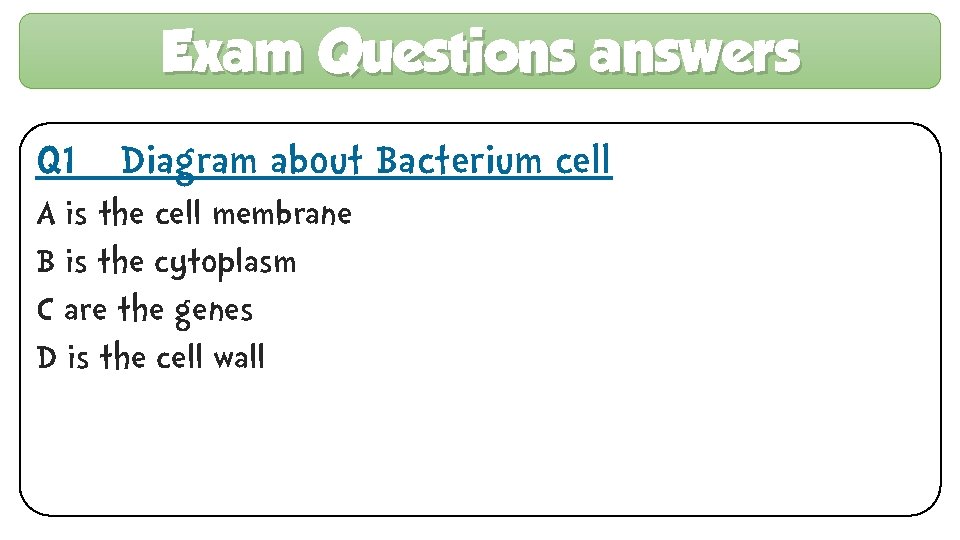 Exam Questions answers Q 1 – Diagram about Bacterium cell A is the cell