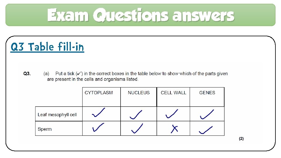 Exam Questions answers Q 3 Table fill-in 