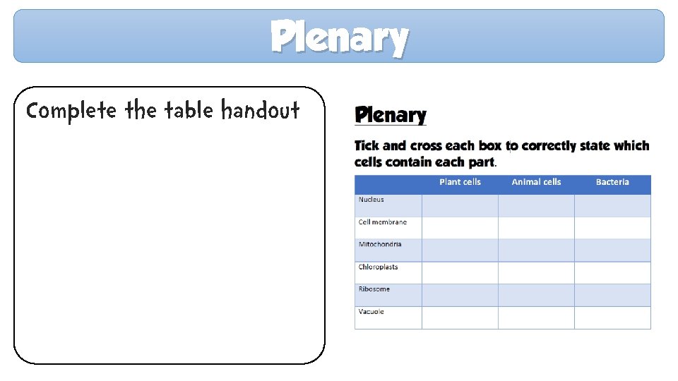 Plenary Complete the table handout 