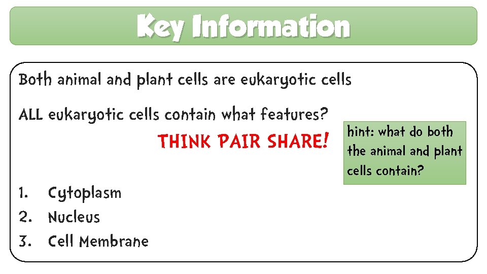 Key Information Both animal and plant cells are eukaryotic cells ALL eukaryotic cells contain