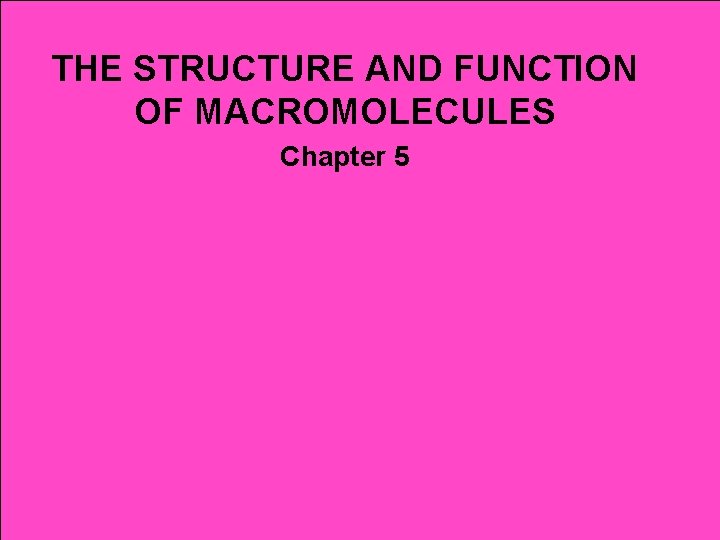 THE STRUCTURE AND FUNCTION OF MACROMOLECULES Chapter 5 