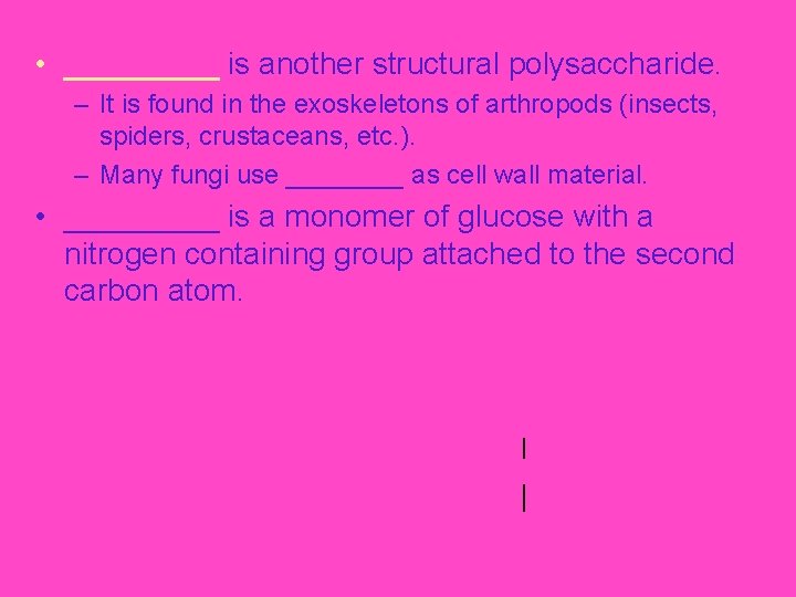  • _____ is another structural polysaccharide. – It is found in the exoskeletons