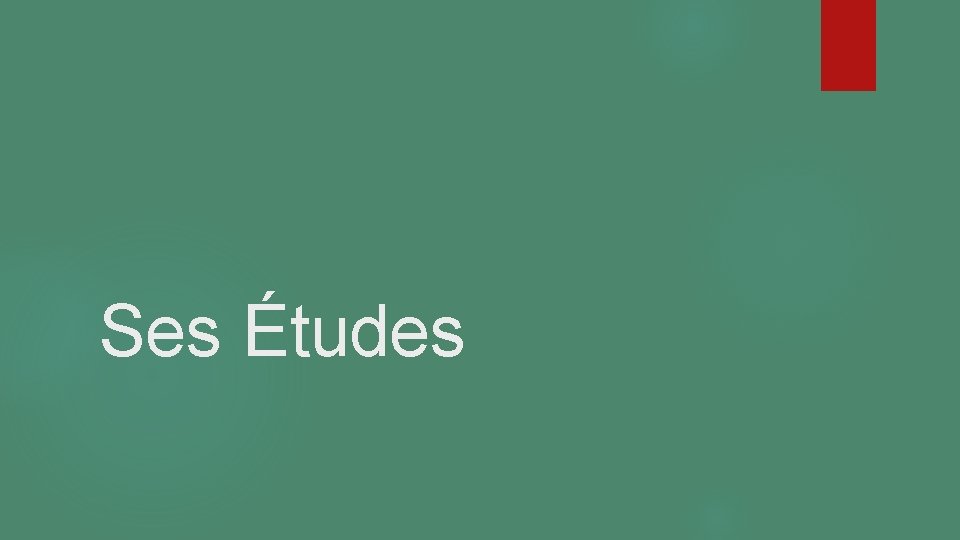 Ses Études 