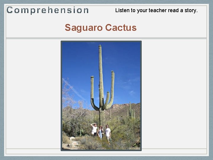 Listen to your teacher read a story. Saguaro Cactus 