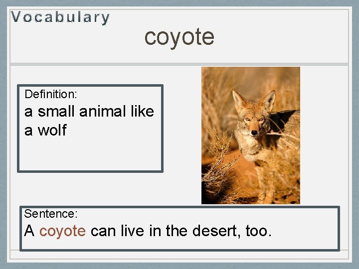 coyote Definition: a small animal like a wolf Sentence: A coyote can live in