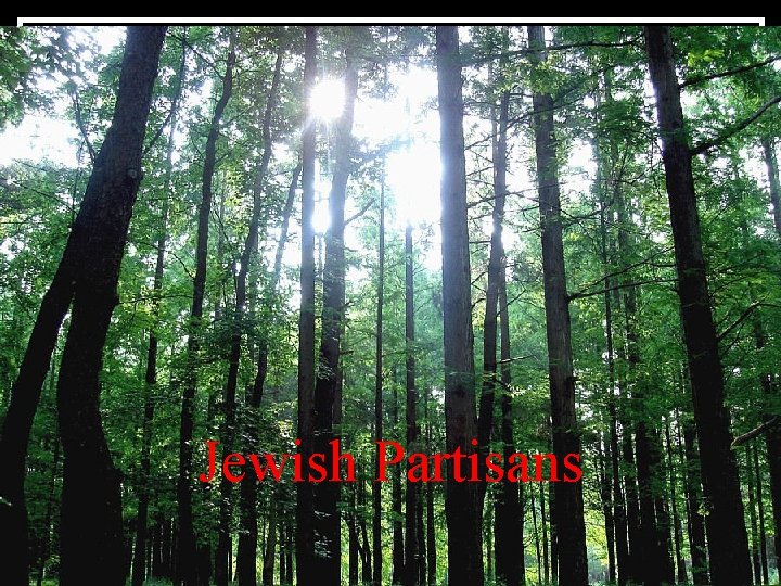 Jewish Partisans 