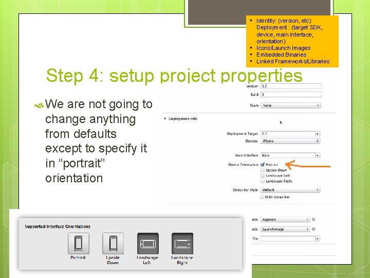  • Identity: (version, etc) Deployment : (target SDK, device, main interface, orientation) •