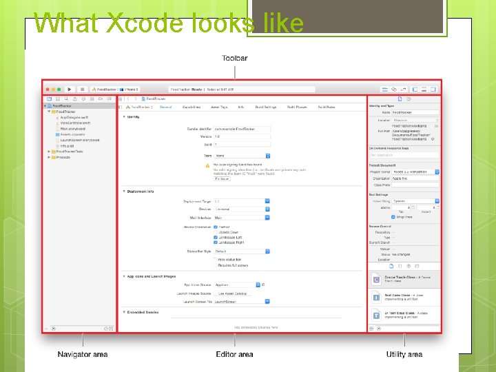 What Xcode looks like 