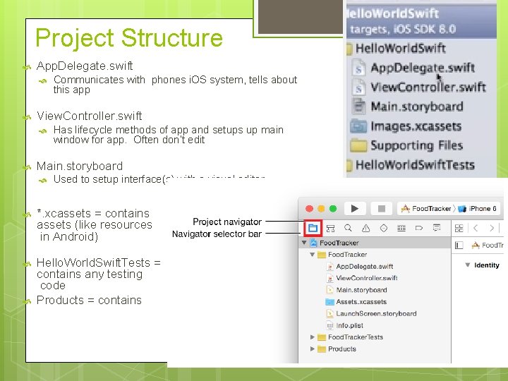 Project Structure App. Delegate. swift View. Controller. swift Communicates with phones i. OS system,