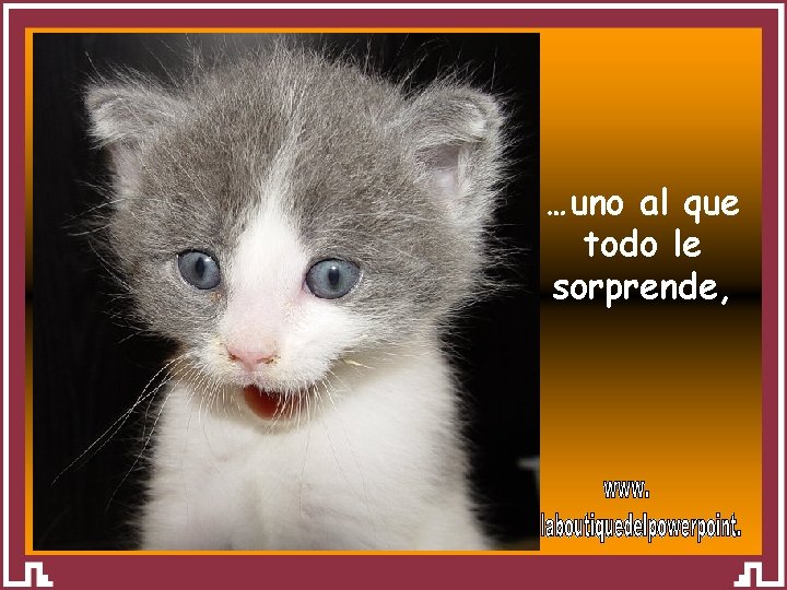 …uno al que todo le sorprende, Seite 18 Dr. Quieks – Bürotypen Folge 2