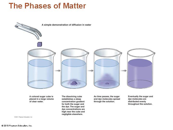 The Phases of Matter © 2013 Pearson Education, Inc. 