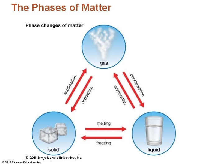The Phases of Matter © 2013 Pearson Education, Inc. 