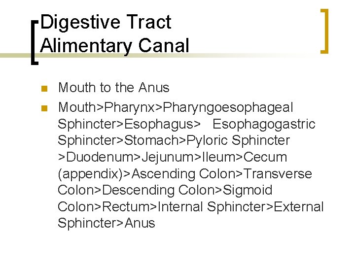 Digestive Tract Alimentary Canal n n Mouth to the Anus Mouth>Pharynx>Pharyngoesophageal Sphincter>Esophagus> Esophagogastric Sphincter>Stomach>Pyloric