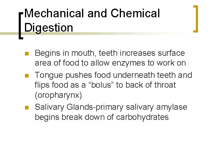 Mechanical and Chemical Digestion n Begins in mouth, teeth increases surface area of food