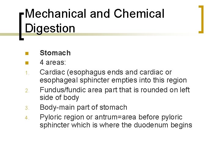 Mechanical and Chemical Digestion n n 1. 2. 3. 4. Stomach 4 areas: Cardiac