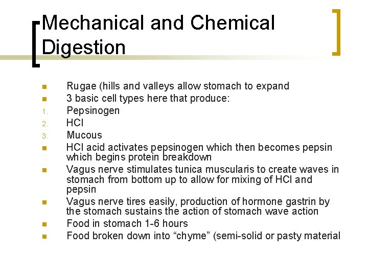 Mechanical and Chemical Digestion n n 1. 2. 3. n n n Rugae (hills